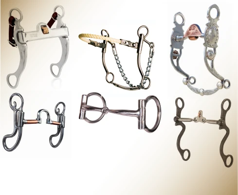 Best Equestrian Western Bits